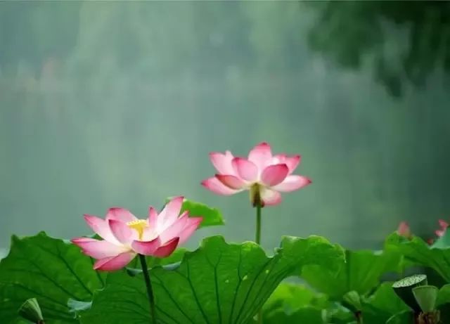 补硒会导致出血(补硒会影响月经吗)-硒宝网