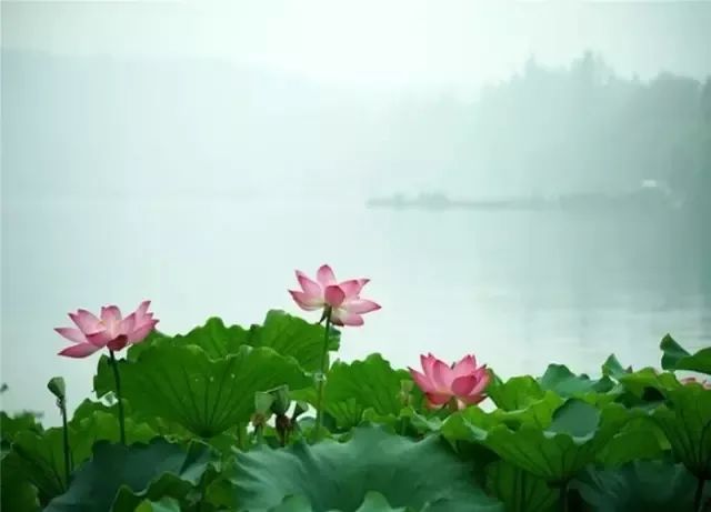 补硒会导致出血(补硒会影响月经吗)-硒宝网