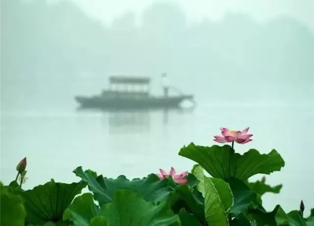 补硒会导致出血(补硒会影响月经吗)-硒宝网