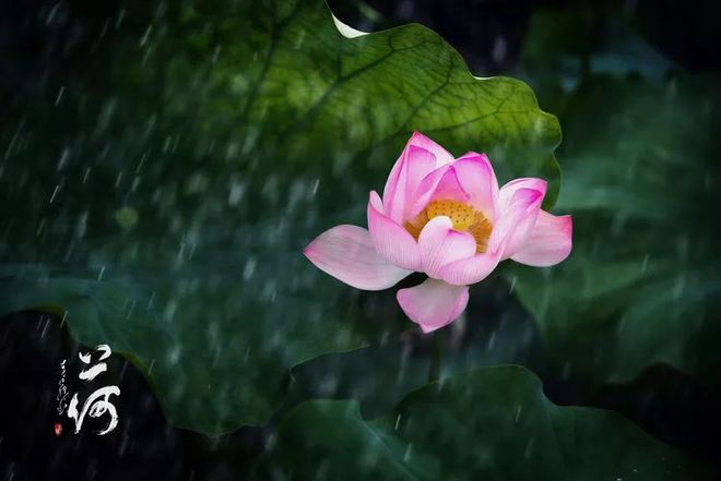 补硒会导致出血(补硒会影响月经吗)-硒宝网