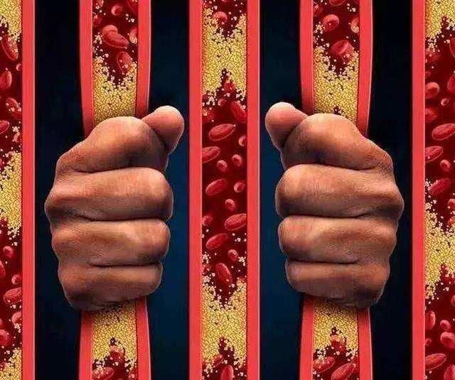 高血脂补硒头昏（硒对高血脂）-硒宝网