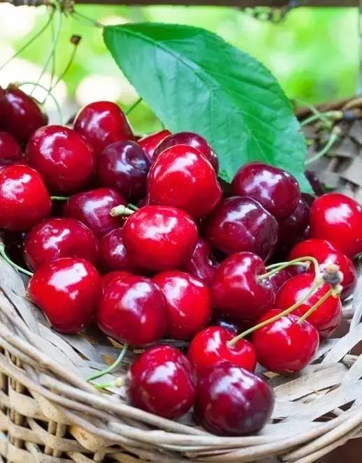 补铁吃什么水果（吃啥水果补铁效果最好）-硒宝网