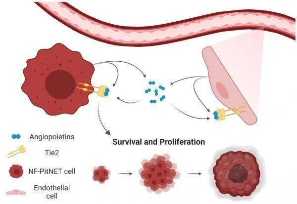 高血脂每天补硒(每天补血脂高硒的食物)-硒宝网