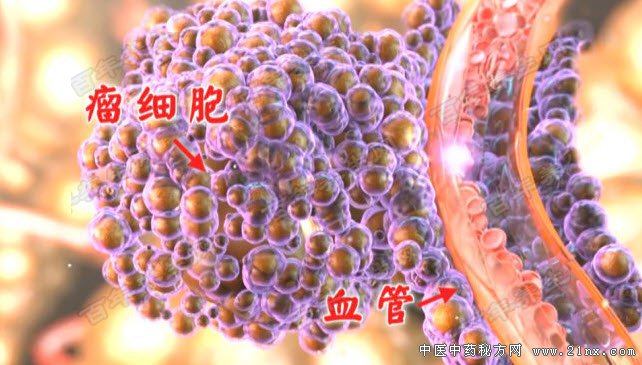 高血脂每天补硒(每天补血脂高硒的食物)-硒宝网