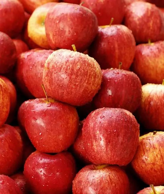 补铁吃什么水果(吃什水果补铁)-硒宝网