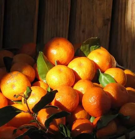 补铁吃什么水果(吃什水果补铁)-硒宝网