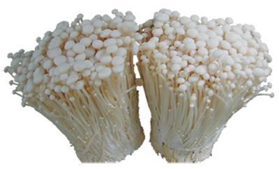 春季补硒的好处（适当补硒）-硒宝网