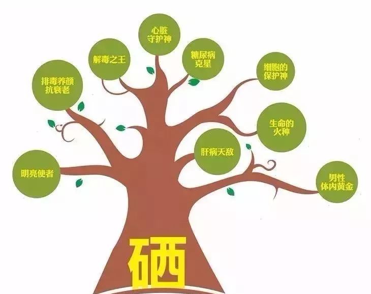 补硒要注意什么(补硒需要补多久)-硒宝网