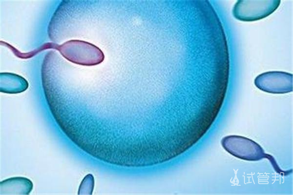 补硒乏力没精神（没精神乏力吃什么补药）-硒宝网