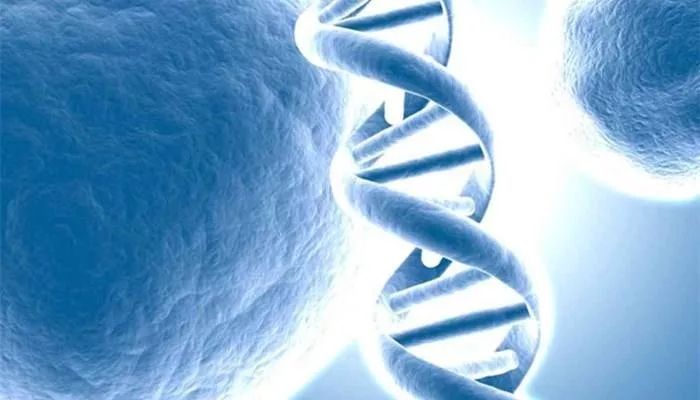 长期补硒副作用（长期补硒有何副作用）-硒宝网