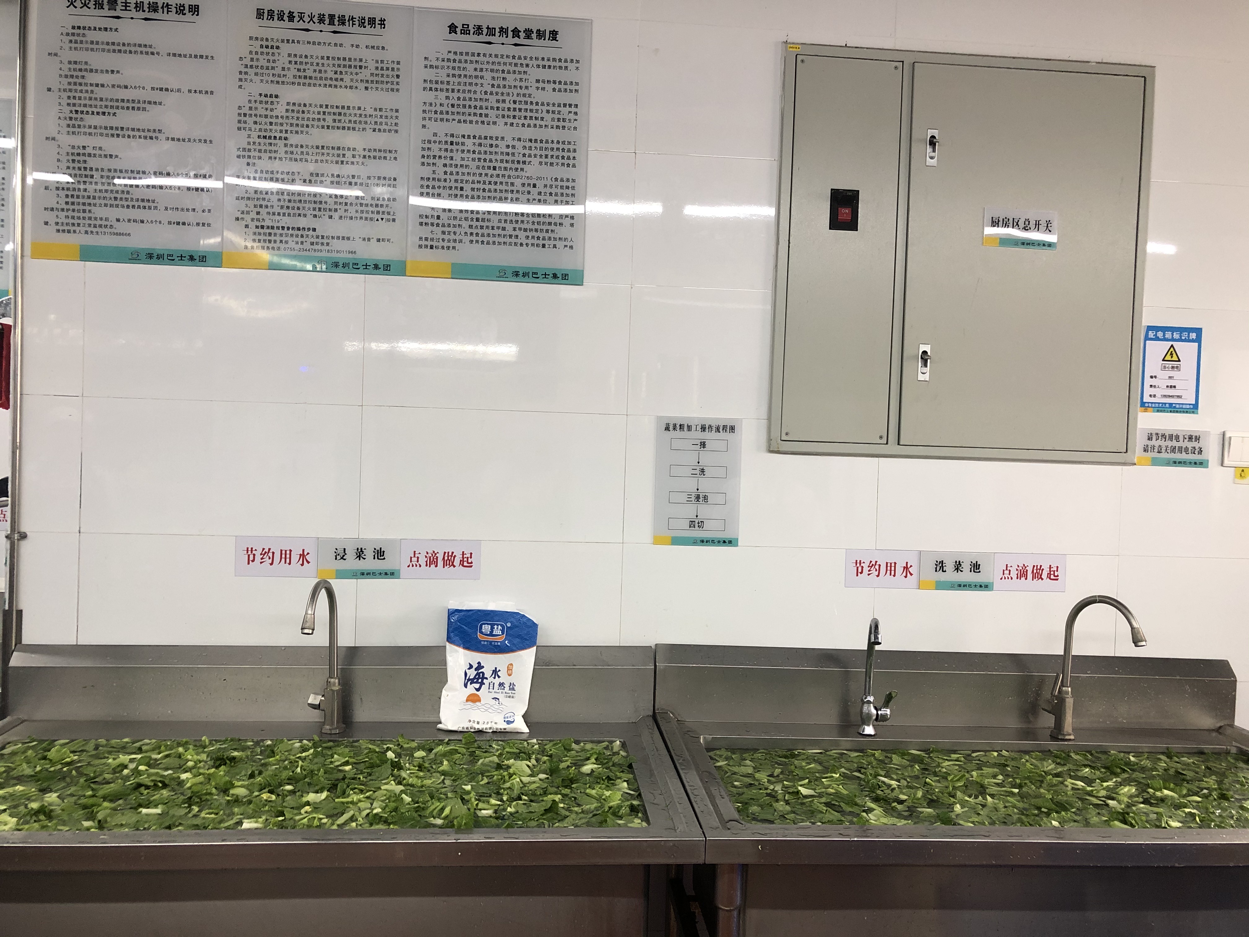 如何为蔬菜补硒(补硒的蔬菜水果)-硒宝网