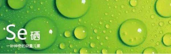全民补硒科学吗（全民补硒科学补硒）-硒宝网