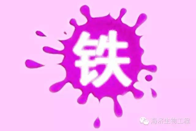 钙铁锌硒不同补（补充钙铁锌硒）-硒宝网