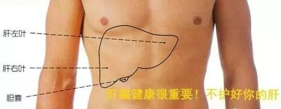 补硒后皮肤发黄(发黄补皮肤硒后会变白吗)-硒宝网