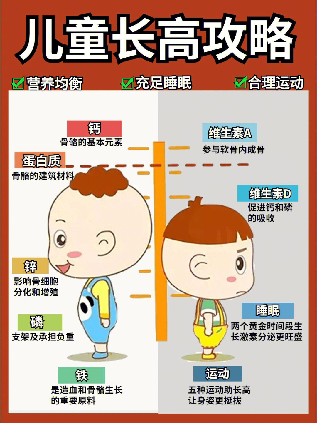 17岁补钙还可以长高吗(长高补钙可以吃什么)-硒宝网