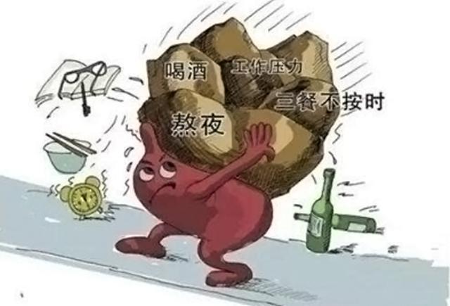 补硒肝脏的反应(补硒对肝)-硒宝网