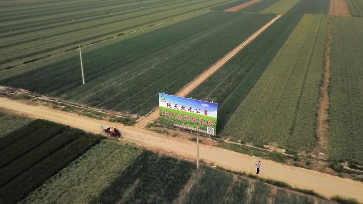 国外专家谈补硒(两位老教授亲身谈补硒)-硒宝网