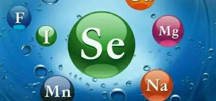 硒是否人人可补（是不是人人都要补硒）-硒宝网