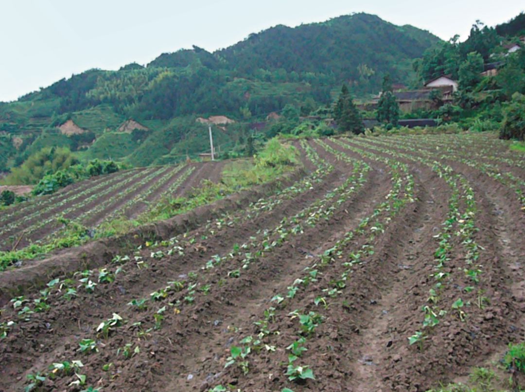 硒是否人人可补（是不是人人都要补硒）-硒宝网