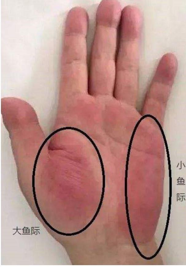 肝不好怎么补硒（补硒肝脏）-硒宝网