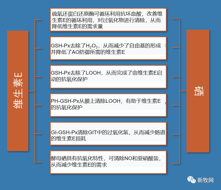 补硒及药物治疗（药物补硒有副作用吗）-硒宝网