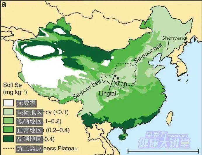 小儿补硒的好处(儿童补硒的作用)-硒宝网
