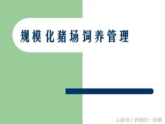 猪得口蹄疫补硒（猪用口蹄疫用药）-硒宝网