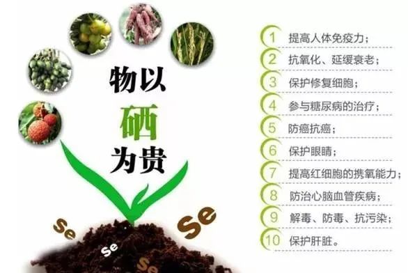 怎么补硒会更好（硒会不会补多了）-硒宝网