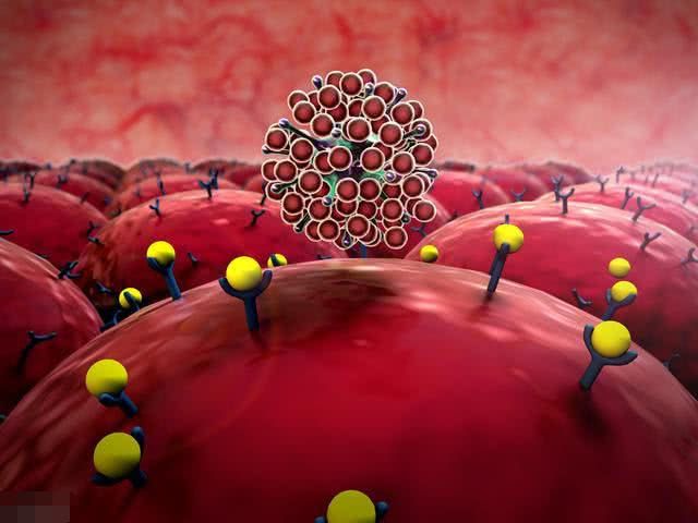 吃补硒品hpv(吃硒对hpv有效果吗)-硒宝网