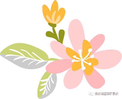 补硒药有什么药（能补硒的药）-硒宝网