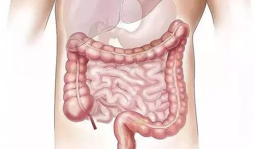 补锌补硒上火么(补充锌和硒吃什么)-硒宝网
