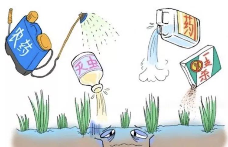 补硒药有什么药(补硒的药都有什么)-硒宝网