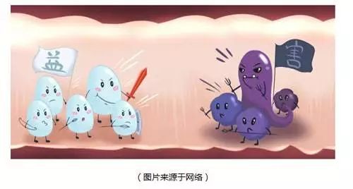 补硒药有什么药(补硒的药都有什么)-硒宝网