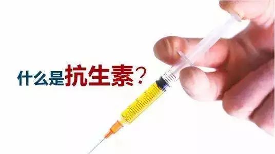 补硒药有什么药(补硒的药都有什么)-硒宝网