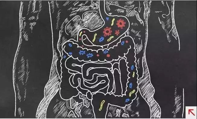 补硒药有什么药(补硒的药都有什么)-硒宝网