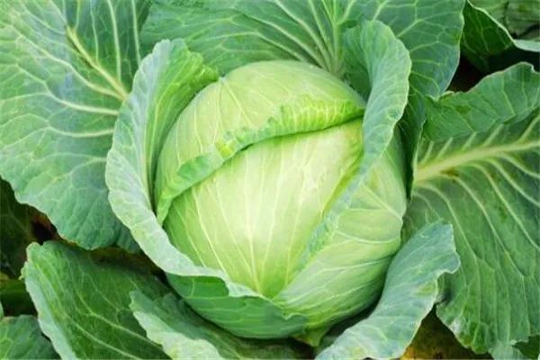 全球补钙排名第一（全球补钙产品排名第一）-硒宝网