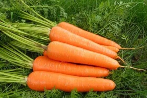 全球补钙排名第一（全球补钙产品排名第一）-硒宝网