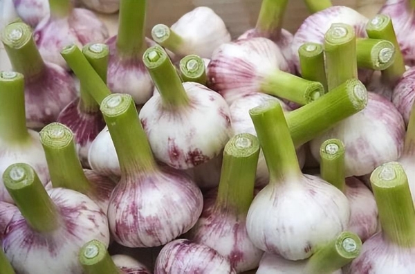 鳞状细胞癌补硒（癌细胞补鳞状硒可以吗）-硒宝网