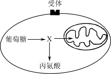 哪些人必需补硒（人体需要补硒）-硒宝网