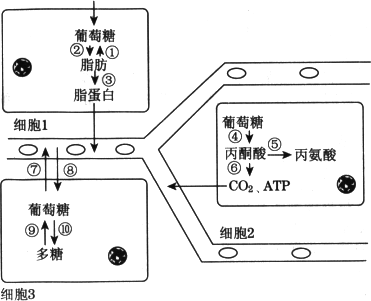 哪些人必需补硒（人体需要补硒）-硒宝网