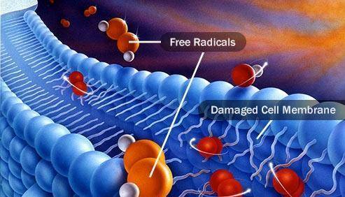 补硒的金属元素（金属硒元素的作用与功效）-硒宝网