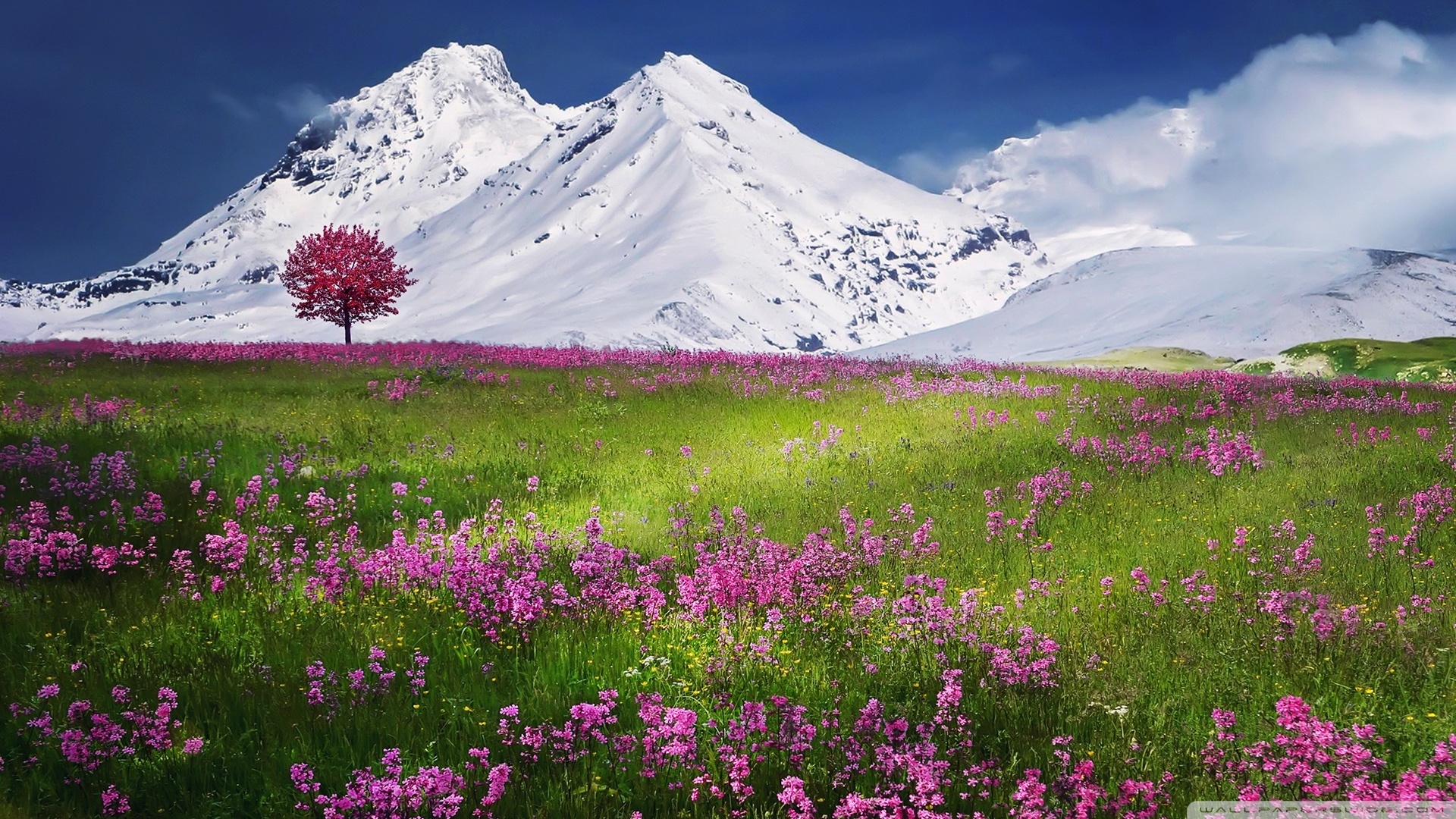 吃中药能补硒么（吃中药时能不能吃硒片和维生素）-硒宝网