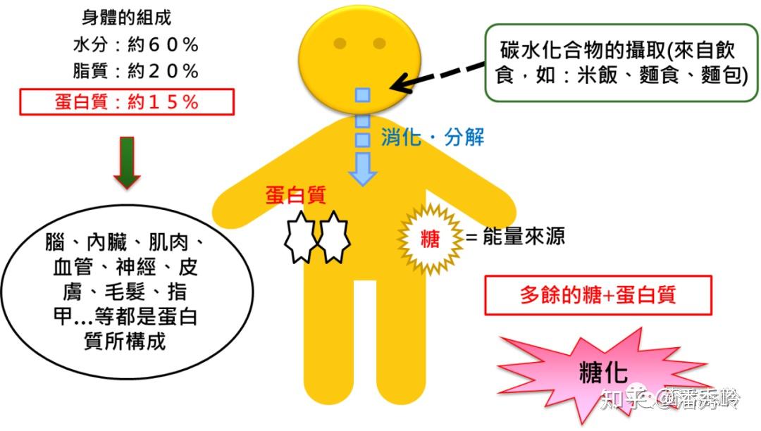 补硒会升高血糖（升高血糖补硒会降低吗）-硒宝网