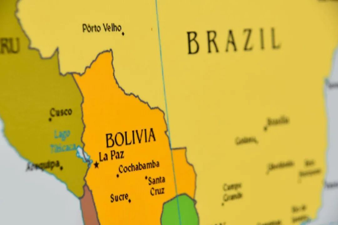 巴西果能补硒吗(巴西果仁含硒多少)-硒宝网