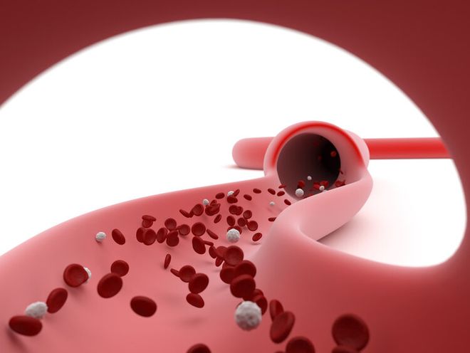 补铁拉屎会是黑色的吗(黑色拉屎补铁会是什么颜色)-硒宝网