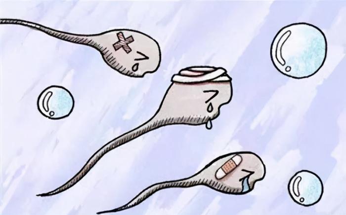 天天补硒可以吗（补硒可以提高免疫力吗）-硒宝网