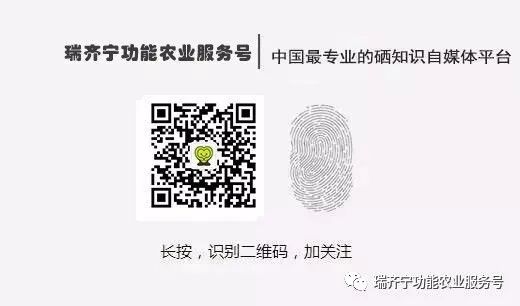 补硒治溃疡的药（药治补溃疡硒有用吗）-硒宝网