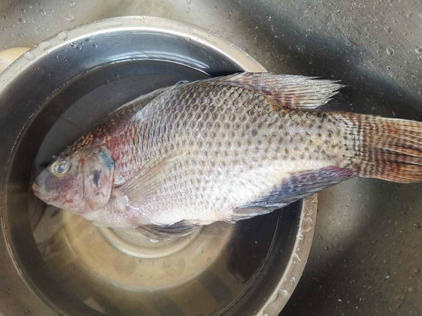 七岁孩子补硒吗（补硒对儿童有什么好处）-硒宝网