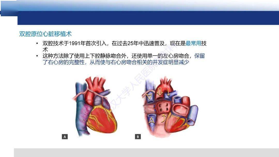 移植前能补硒吗（移植前能吃叶酸片吗）-硒宝网