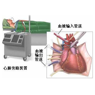 移植前能补硒吗（移植前能吃叶酸片吗）-硒宝网